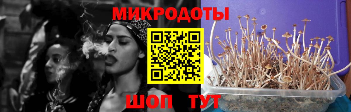 Галлюциногенные грибы прущие грибы Новоуральск